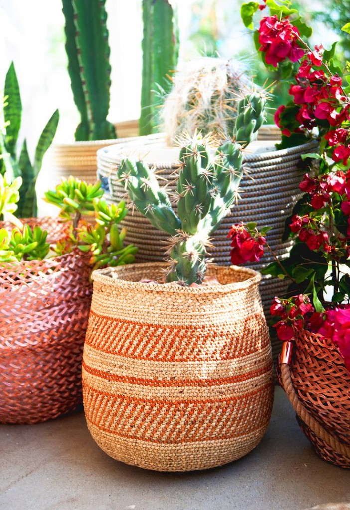 plantes et déco décoration inspiration plantes d'intérieur cactus maison blog déco